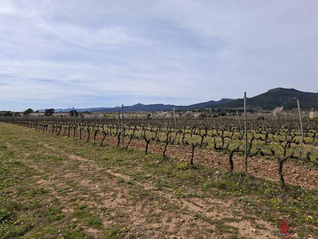 Terreno residencial en Venta en Cabra del Camp