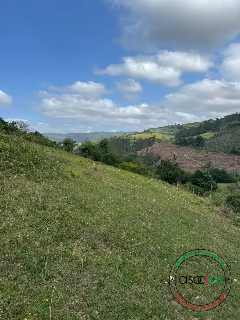 Terreny en venda en Villaviciosa