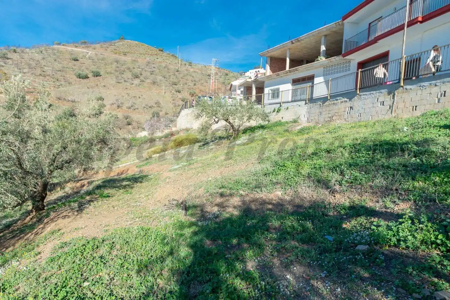 Residential land for sale in Sayalonga, imagen 3