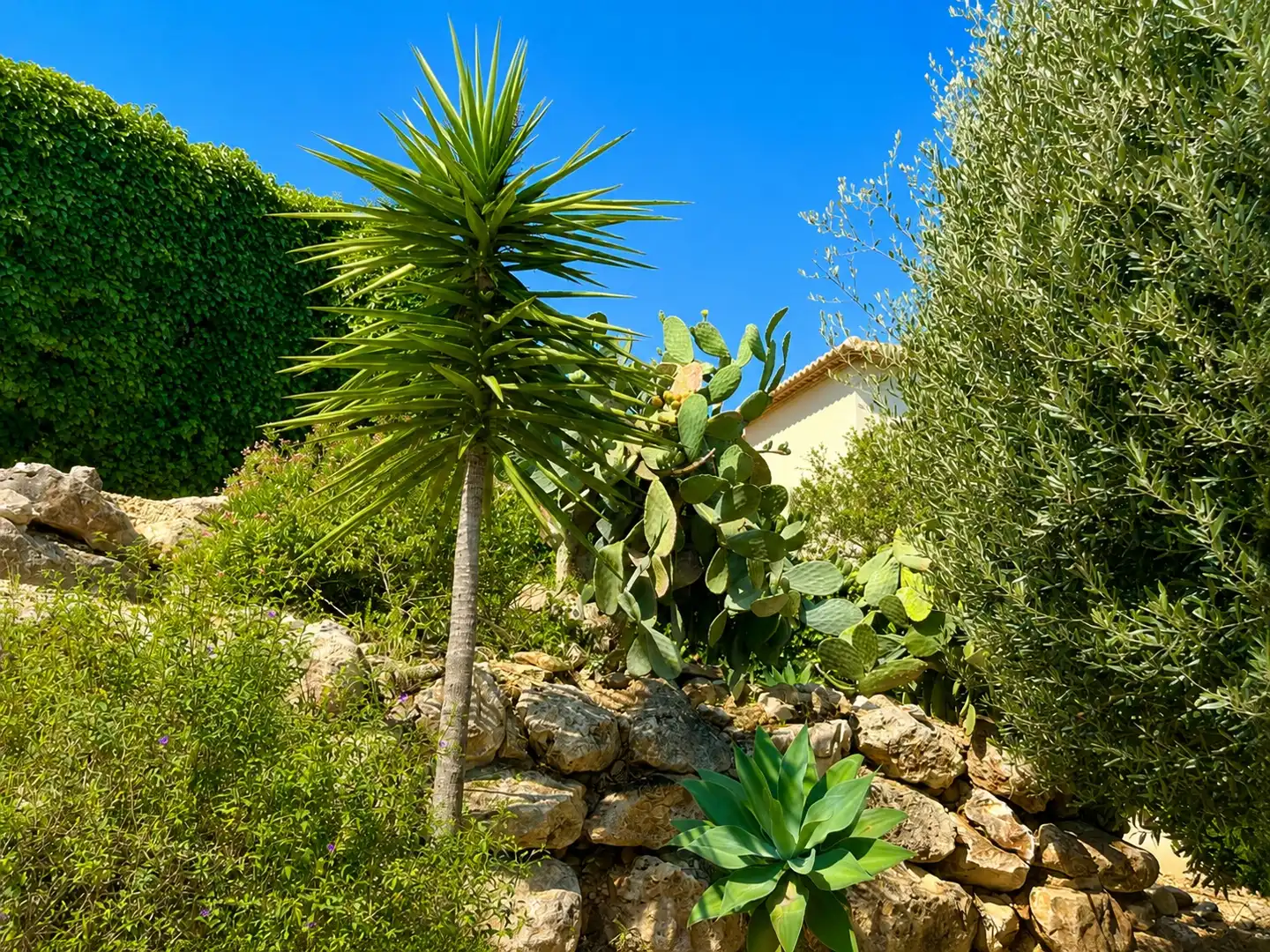 House with garden for sale in La Granadella  - Costa Nova, imagen 38