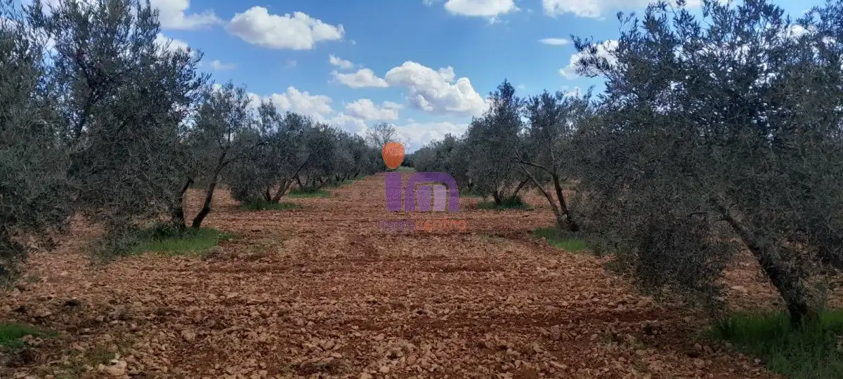 Finca rústica en venda en Valdepeñas