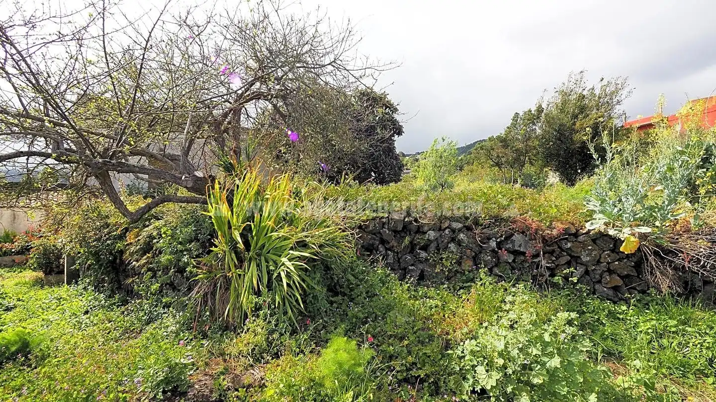 Maison rustique à vendre à La Vega - El Amparo - Cueva del Viento, imagen 18