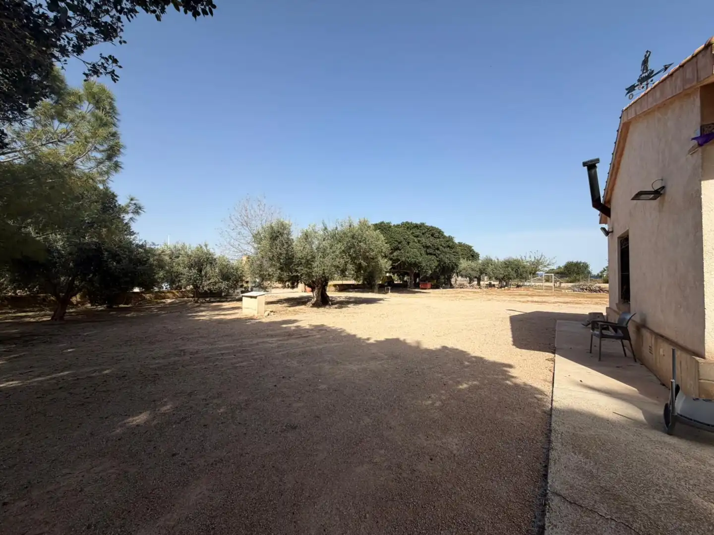 Business premises for sale in Torre-Pacheco ciudad