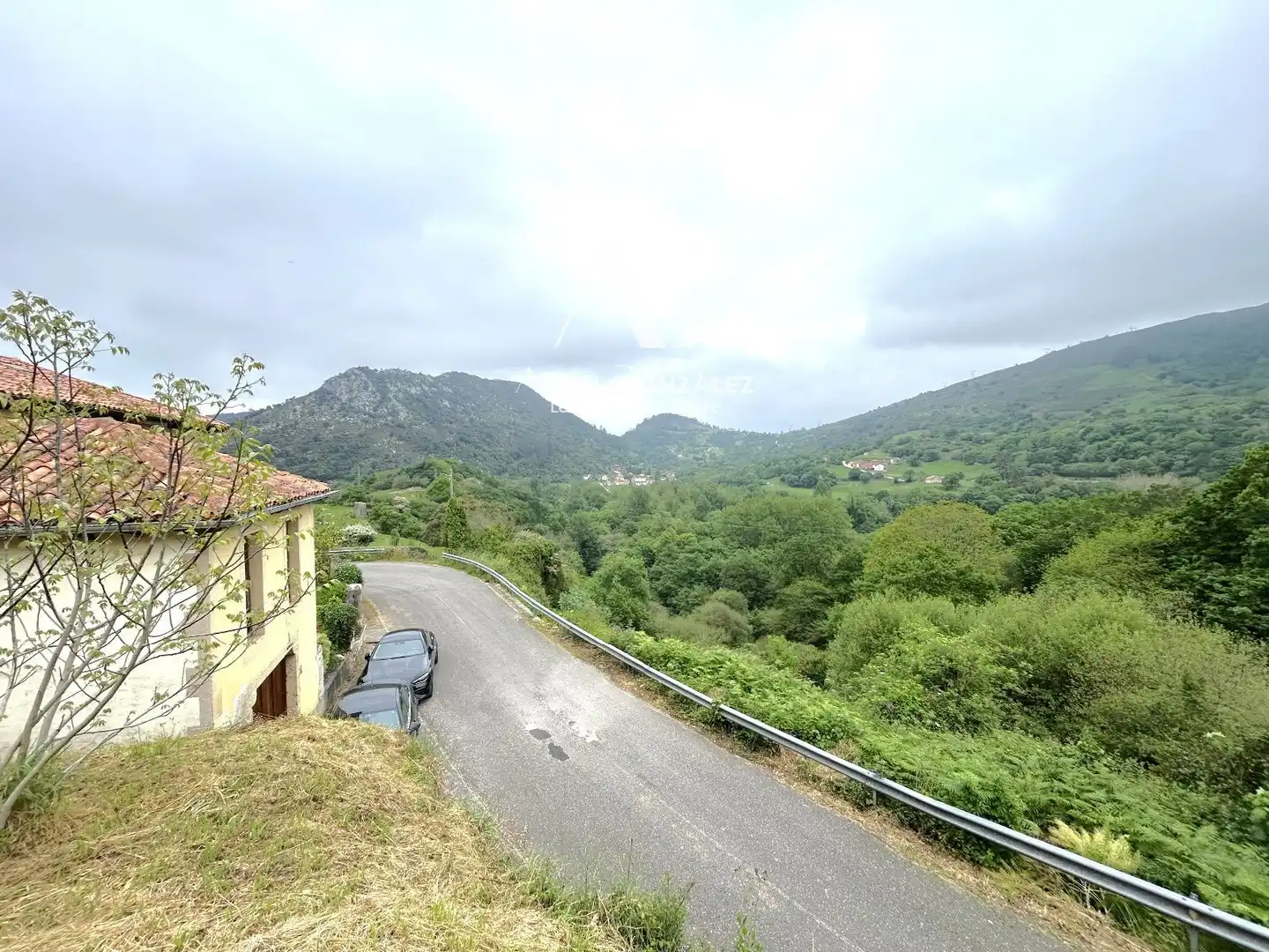 Exterior view of Houses for sale in Peñamellera Baja  with Private garden, Terrace and Storage room