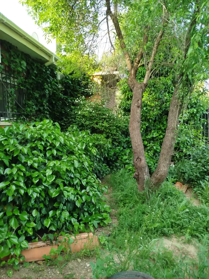 Jardí de Casa o xalet en venda en Fuentidueña de Tajo amb Aire condicionat, Calefacció i Jardí privat