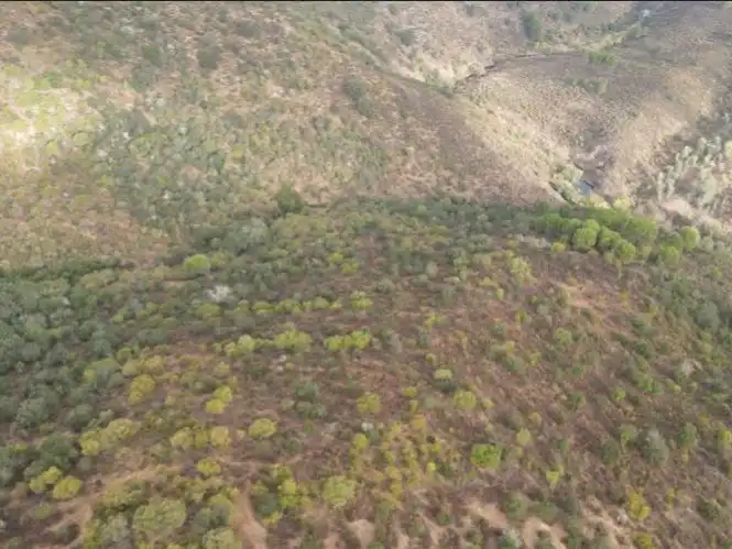Terreno en venta en Zalamea la Real