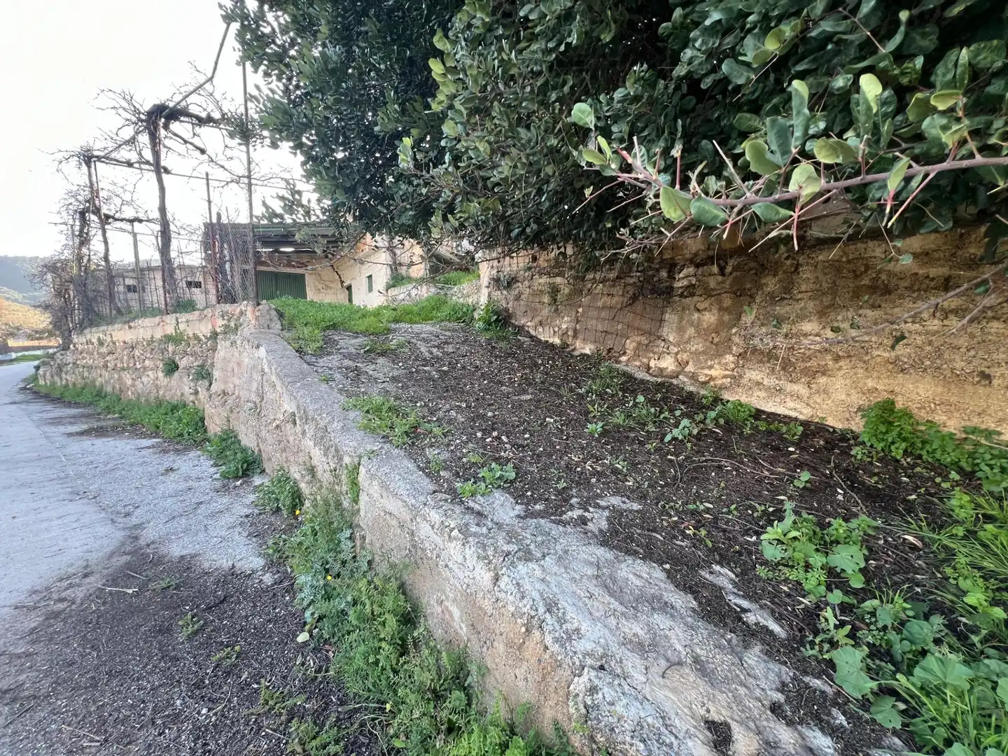 Casa rústica en venda a Camino Forestal de Albuñuelas, imagen 14