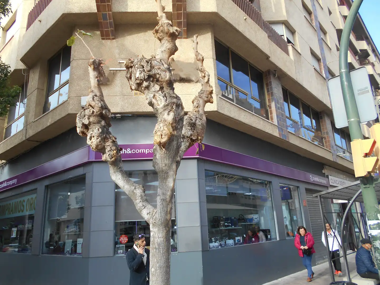 Exterior view of Office for sale in Molina de Segura  with Air Conditioner, Heating and Internet