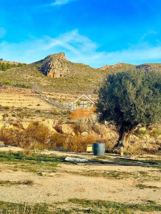 Terrenos y solares en venta en Vélez-Rubio, imagen 5