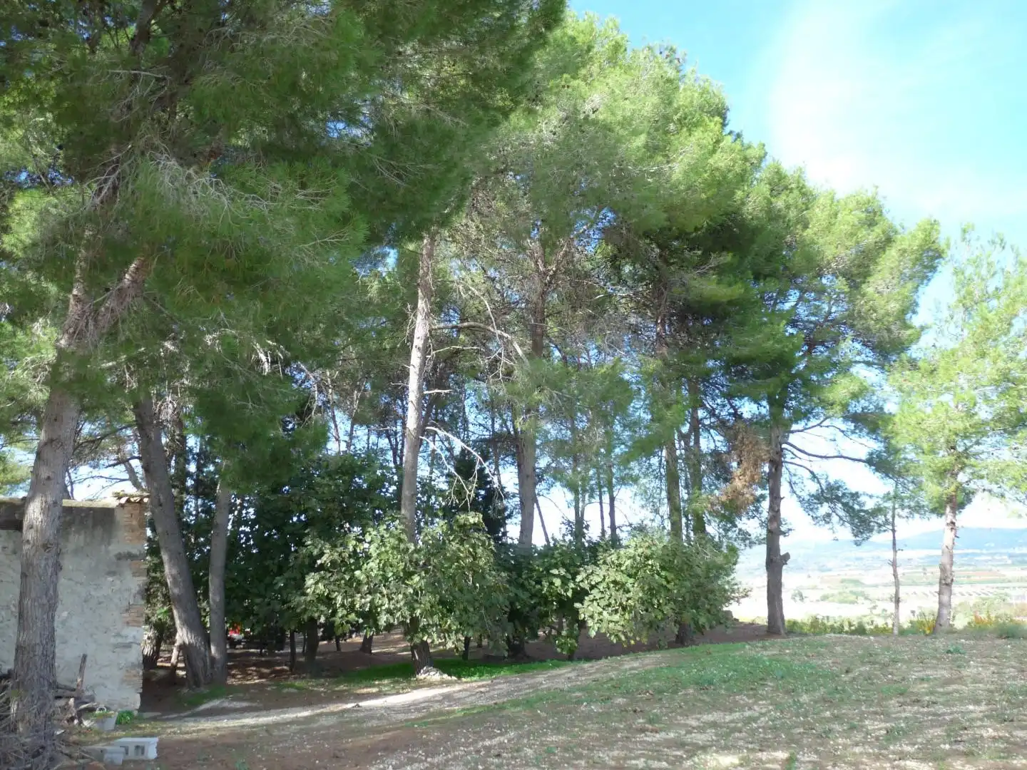 Country house zum Verkauf in Albaida mit Privatgarten und Abstellraum