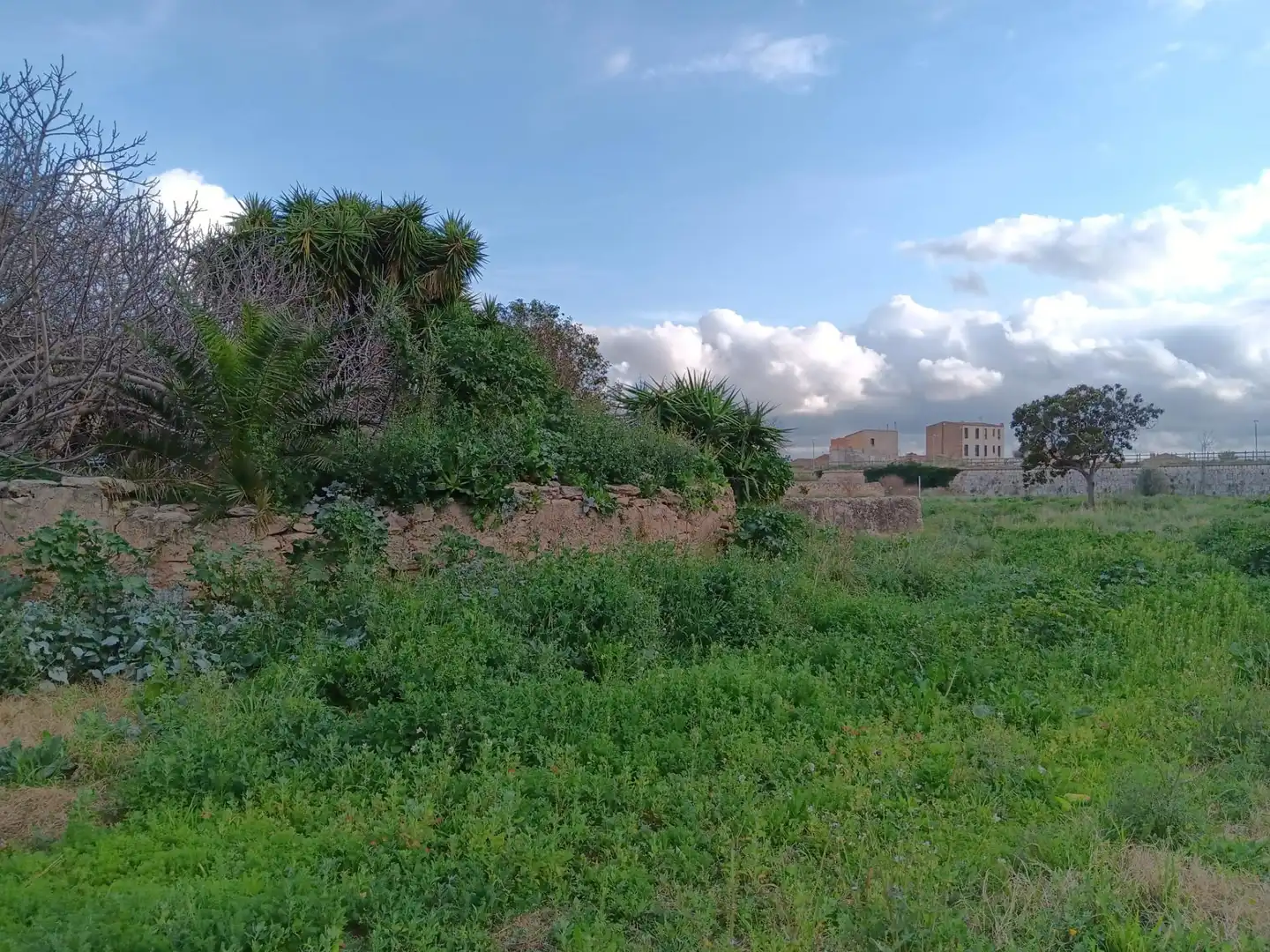 Terreny residencial en venda a Ferreries, imagen 6