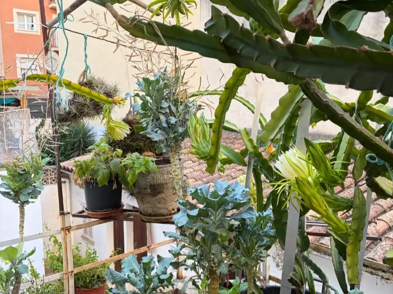 Piso con jardín en venta en Calle Emili Darder Batle 37A, imagen 3