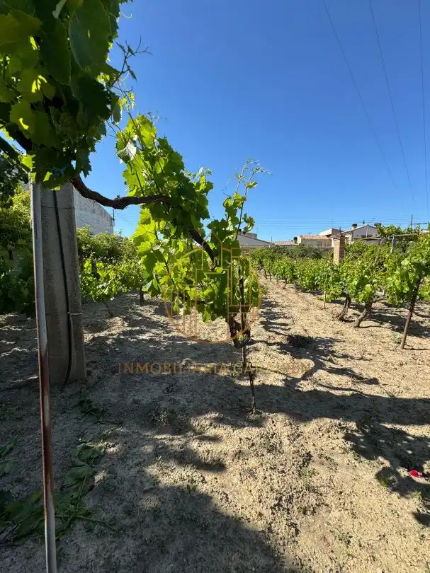 Terreno en venta en Santacara