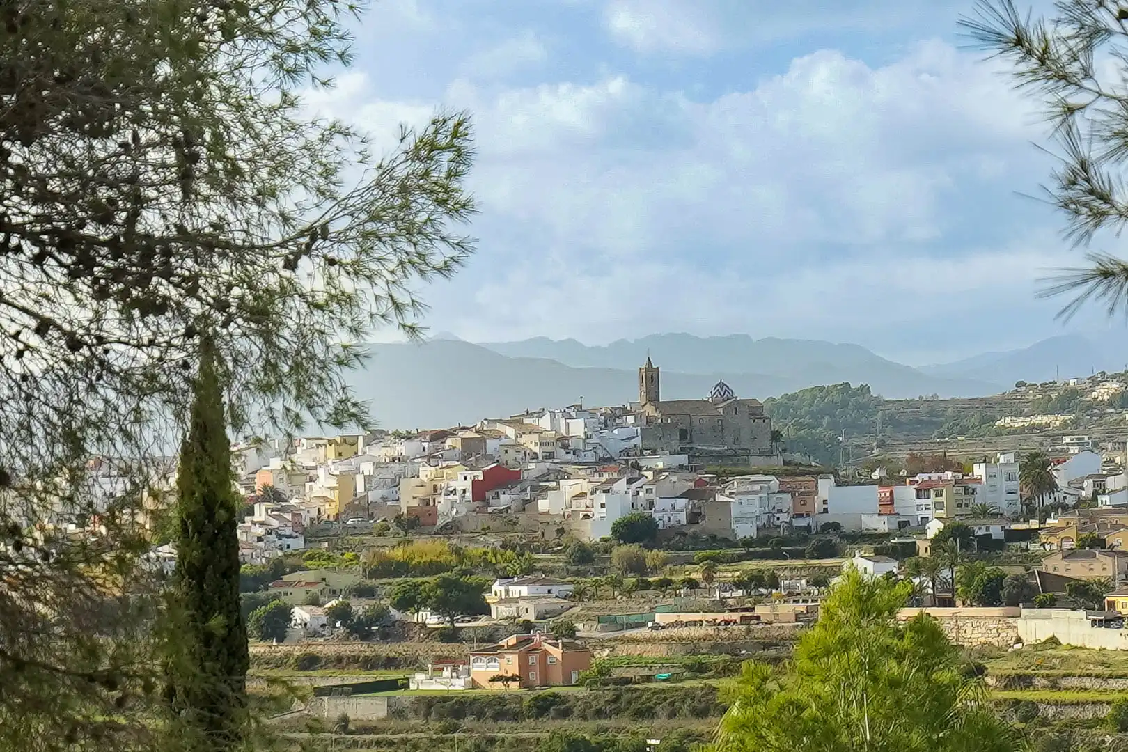 Residential land for sale in Centro ciudad, imagen 10