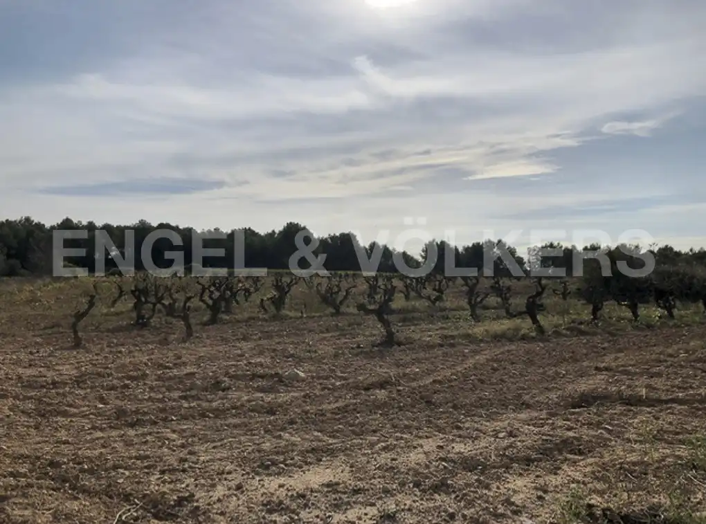 Terreny residencial en venda a Avinyonet del Penedès, imagen 31