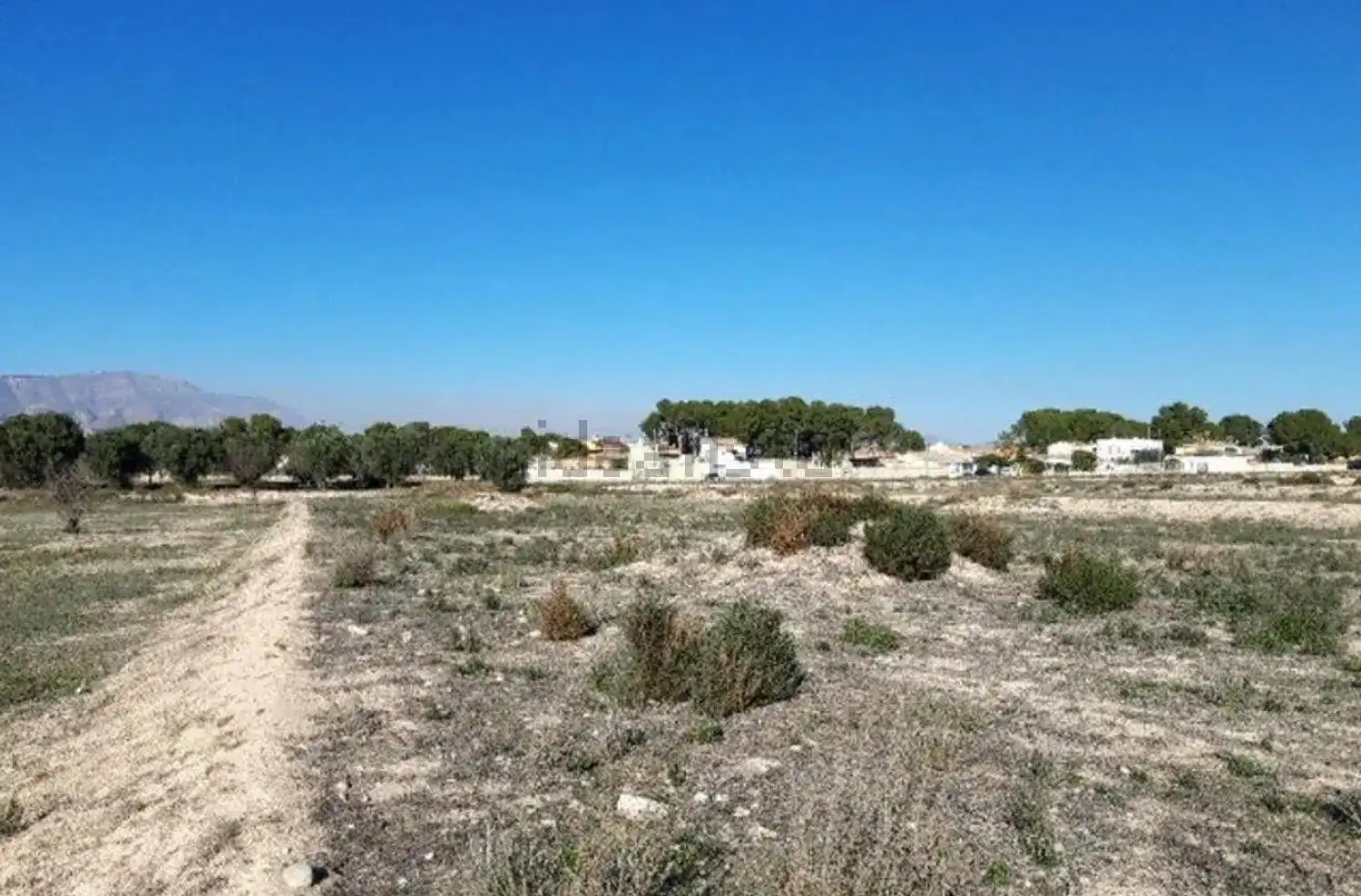 Terreno rústico en venta en Monforte del Cid, imagen 6