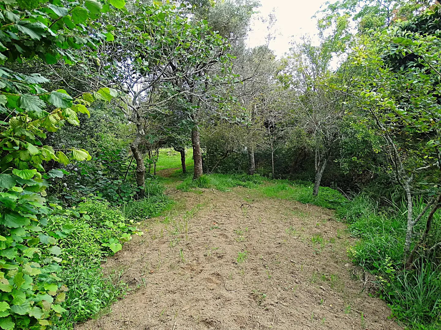 Finca rústica en venda en Narón amb Calefacció, Jardí privat i Parquet