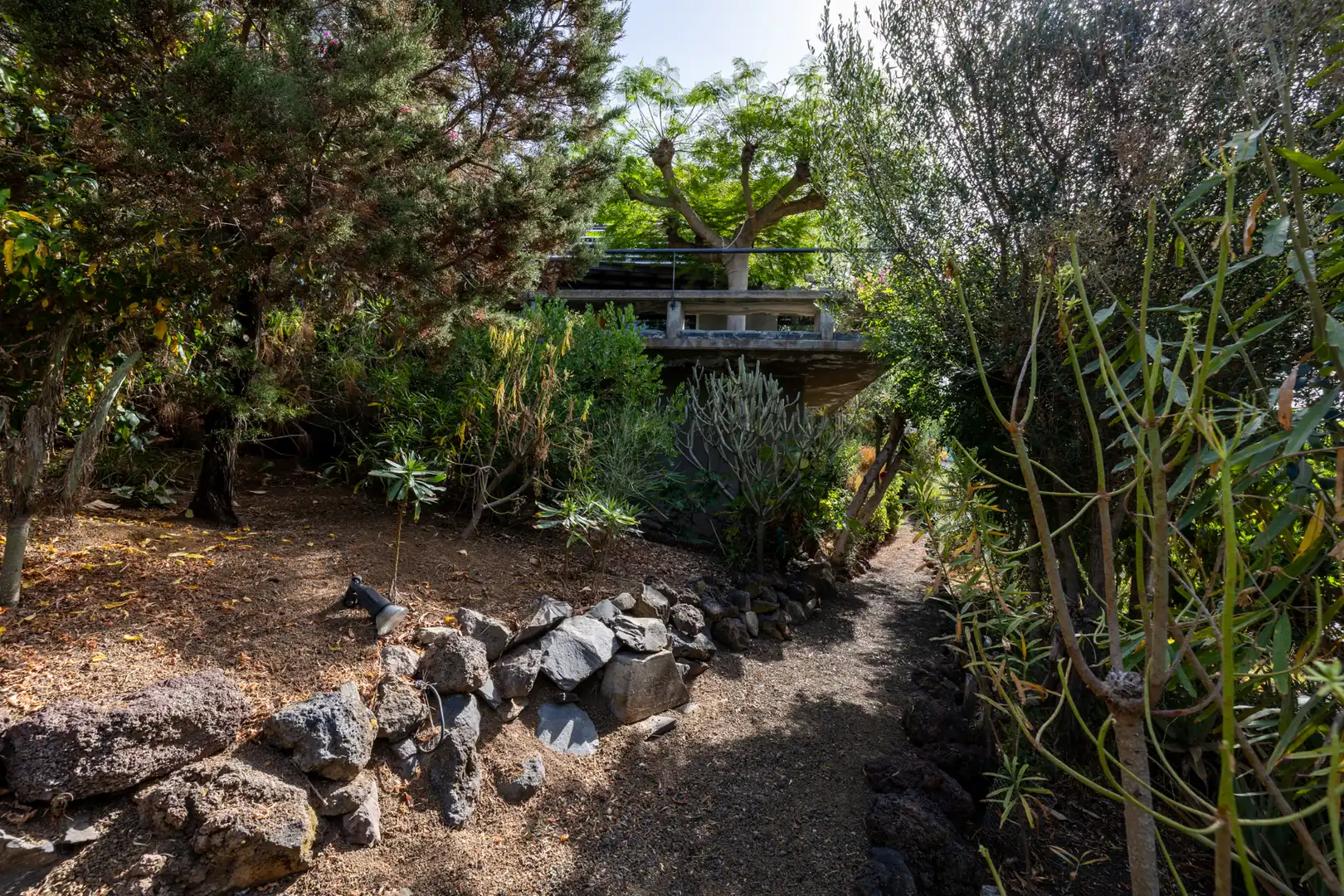 Jardí de Casa o xalet en venda en Vegueta - Cono Sur - Tafira