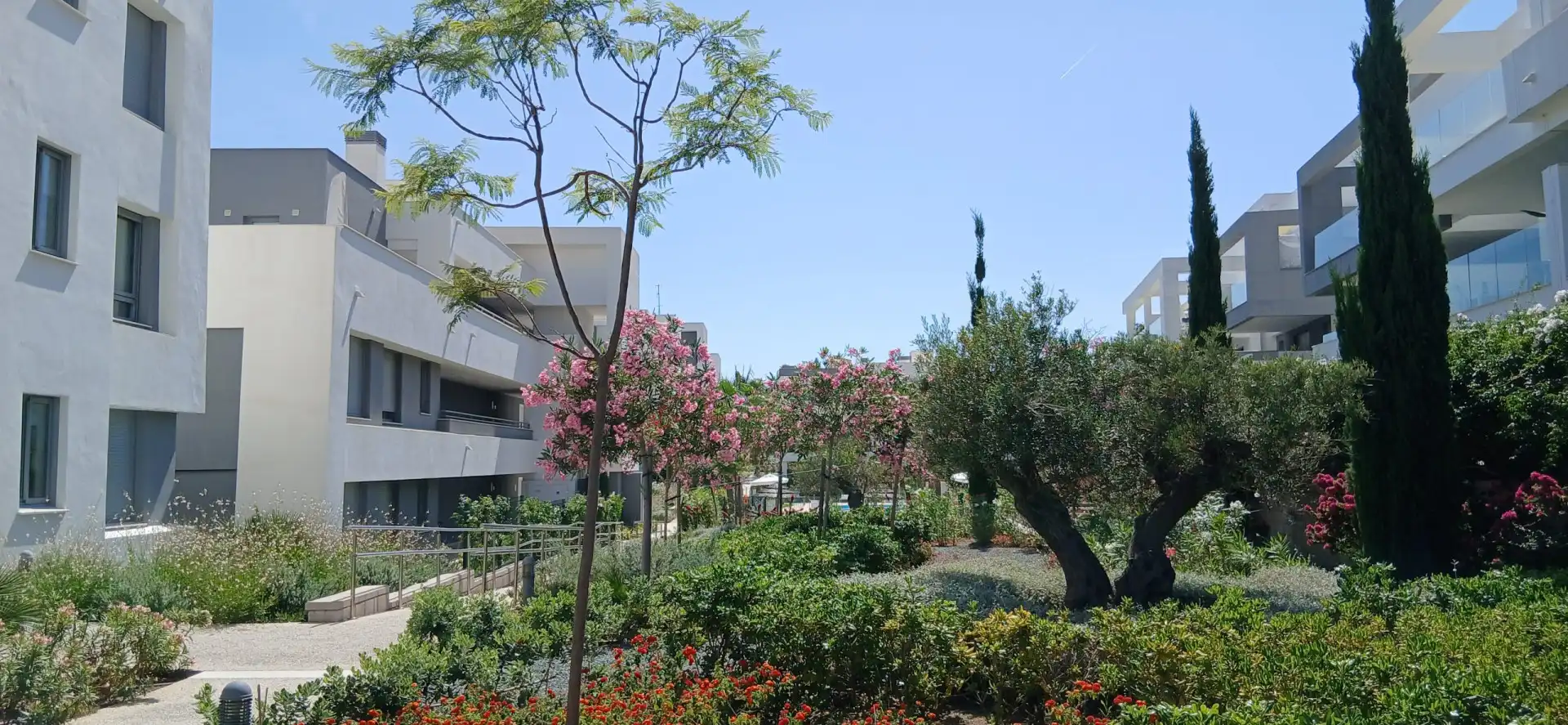 Vista exterior de Planta baja de alquiler en Selwo