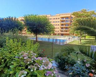Garden of Flat to rent in Rivas-Vaciamadrid  with Terrace