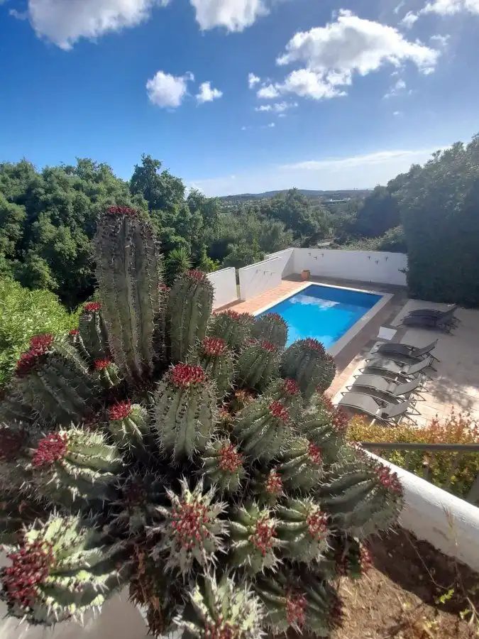 Chalet con piscina en venta en Sotogrande Alto, imagen 25