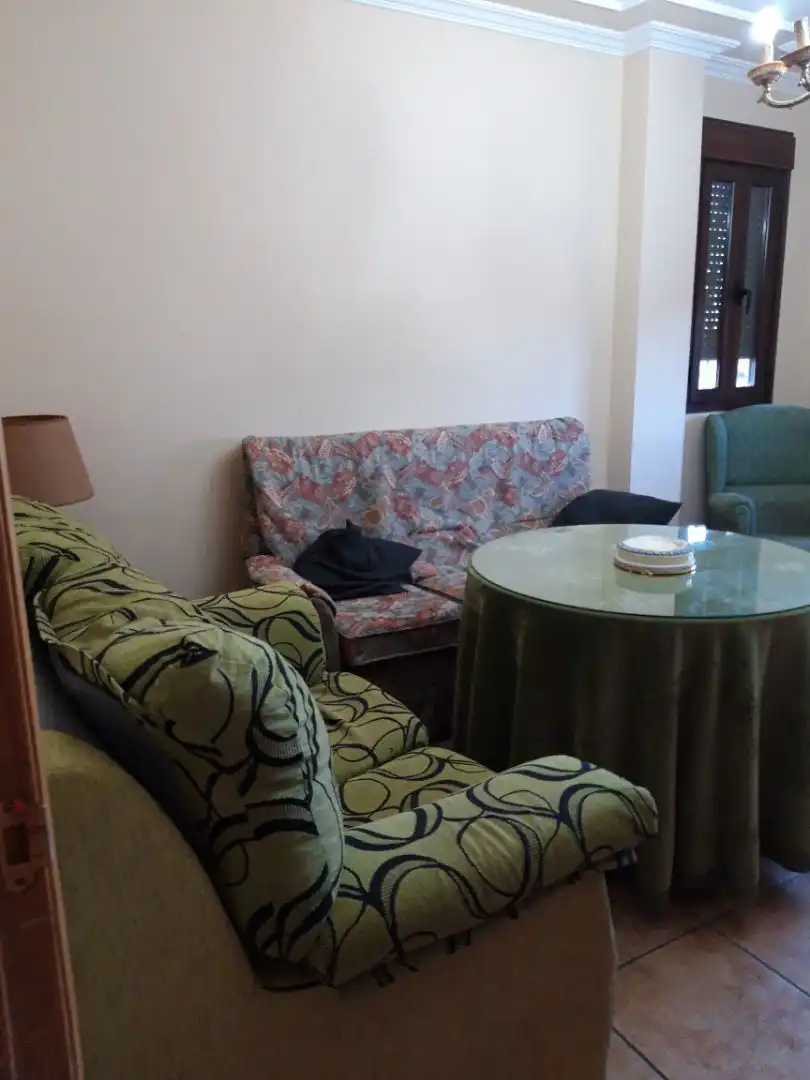 Sala d'estar de Casa o xalet en venda en Linares amb Aire condicionat, Calefacció i Jardí privat