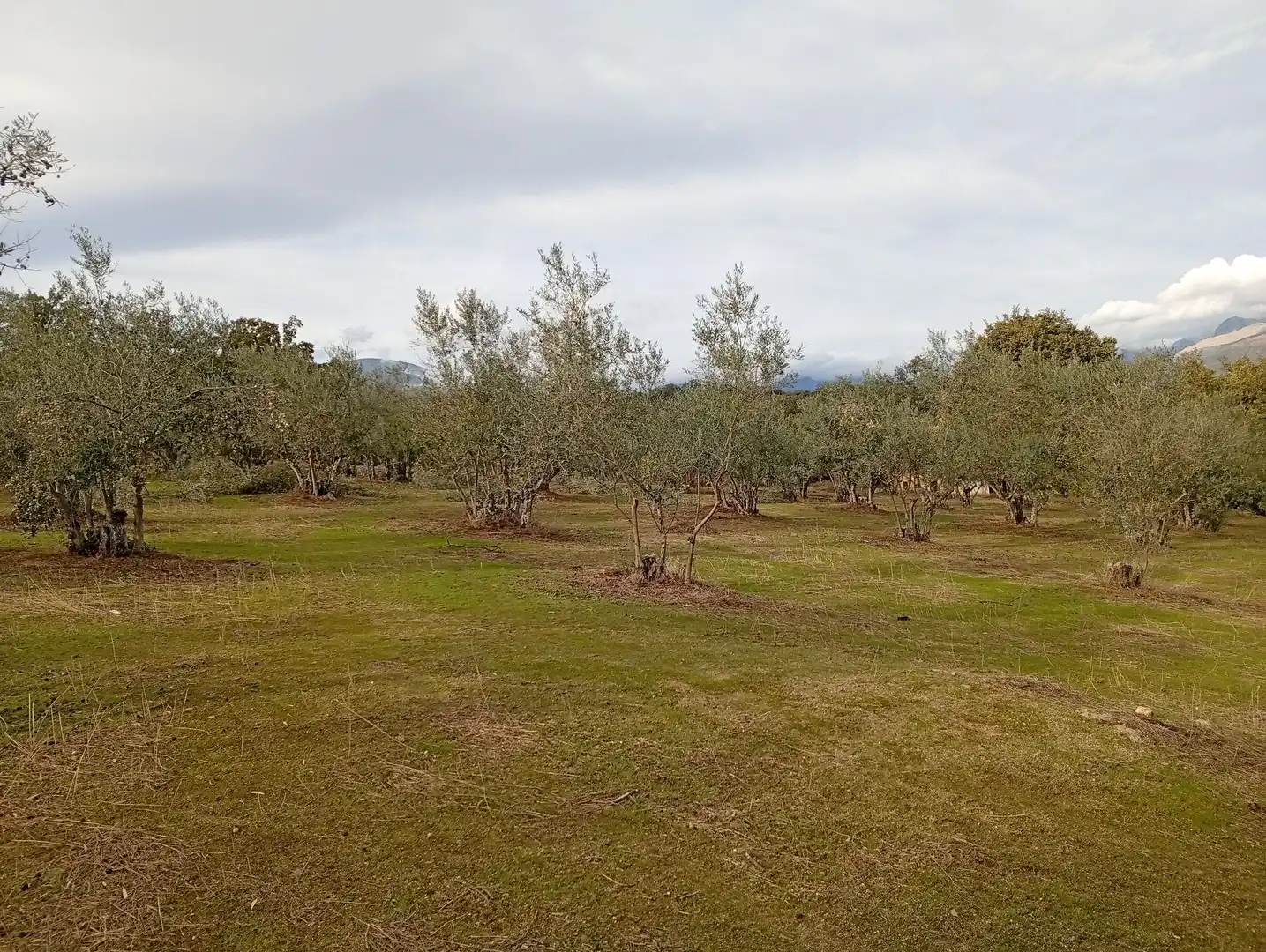 Terreni e lotti in vendita a Villanueva de la Vera, imagen 15
