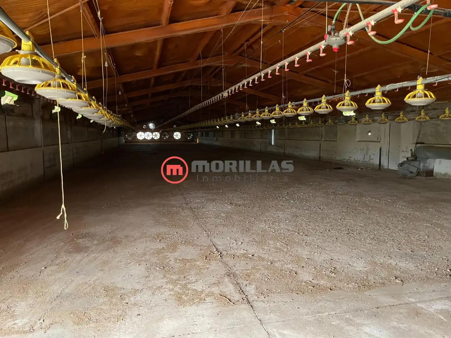 Chalet con jardín en venta en Bullas, imagen 35