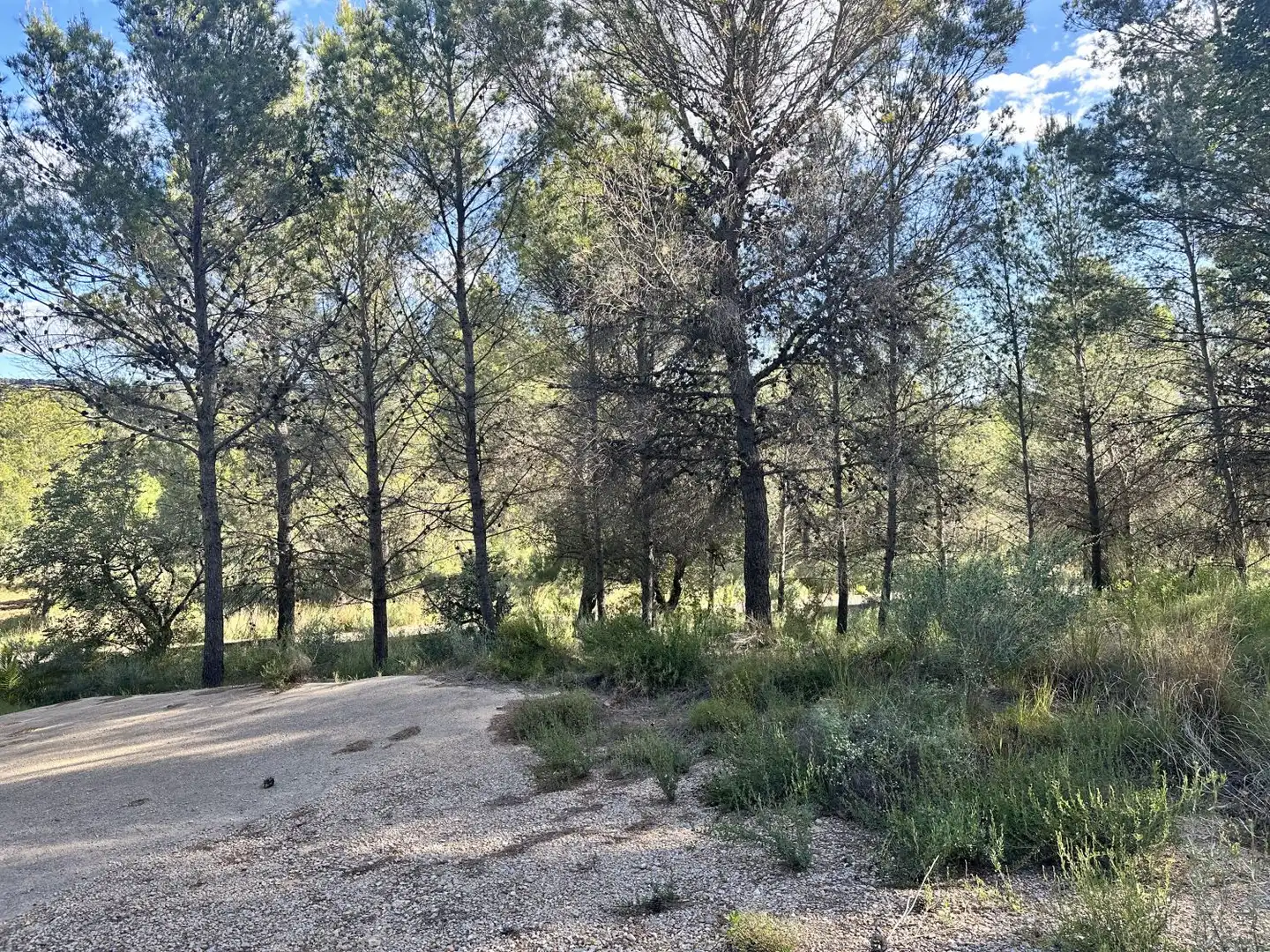 Terreny residencial en venda a Estivella, imagen 18