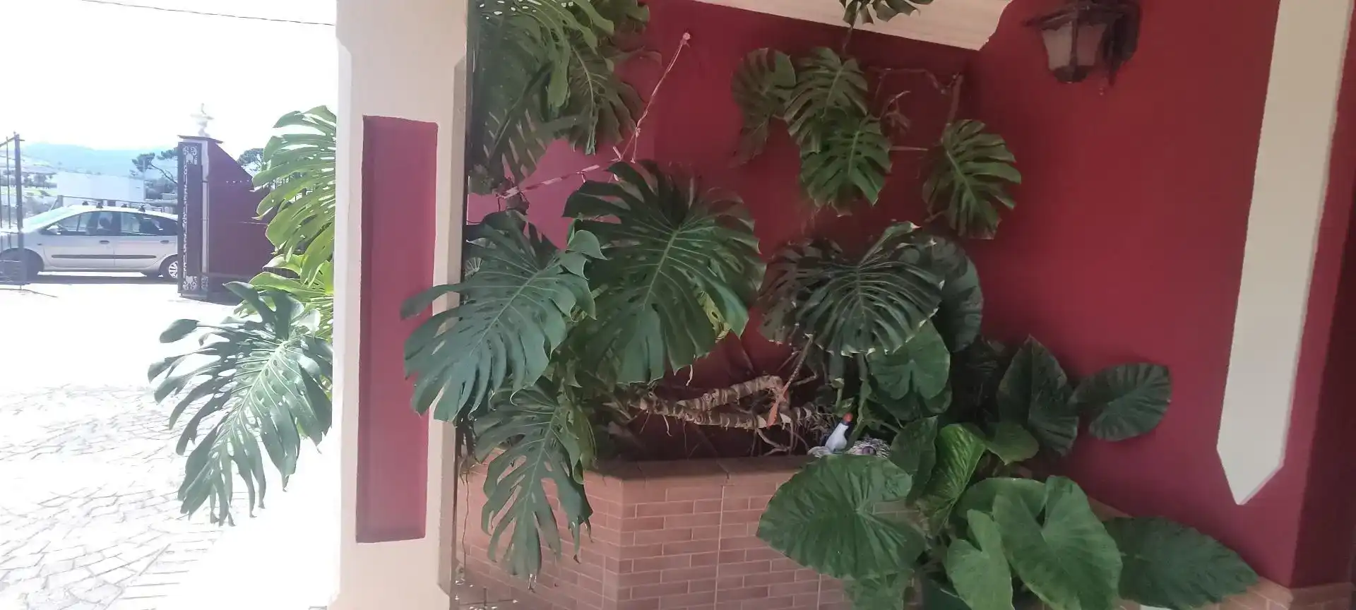 Finca rústica en venda en El Coronil amb Aire condicionat, Jardí privat i Piscina