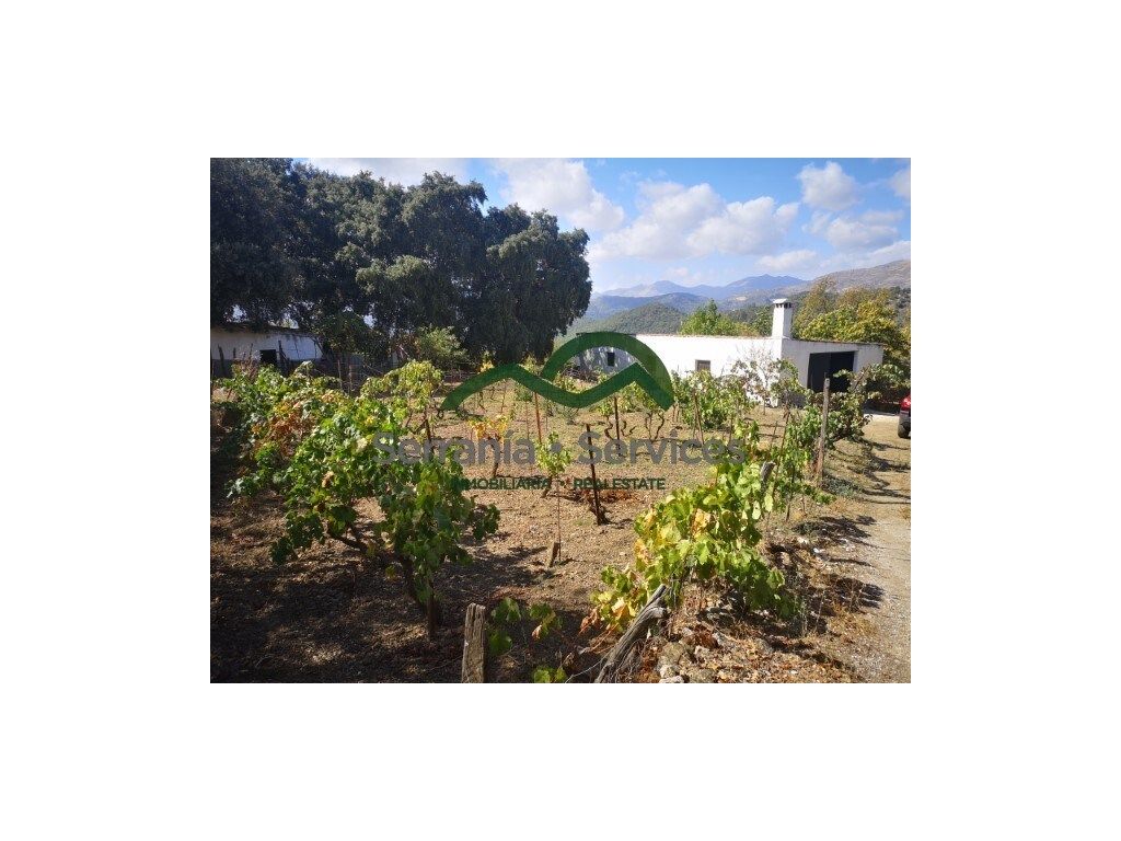 Finca rústica en venda en Faraján