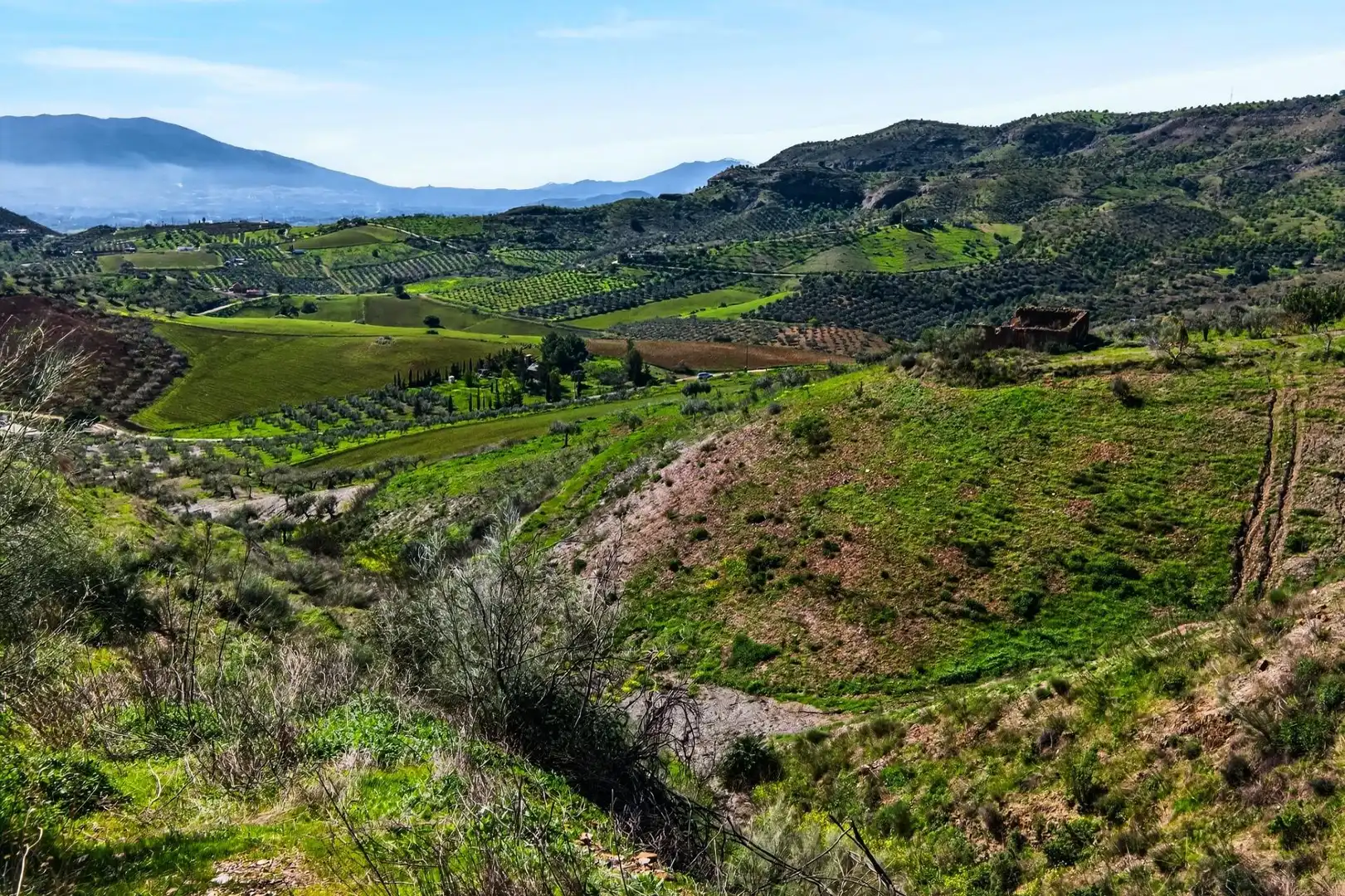 Residencial en venta en Cártama