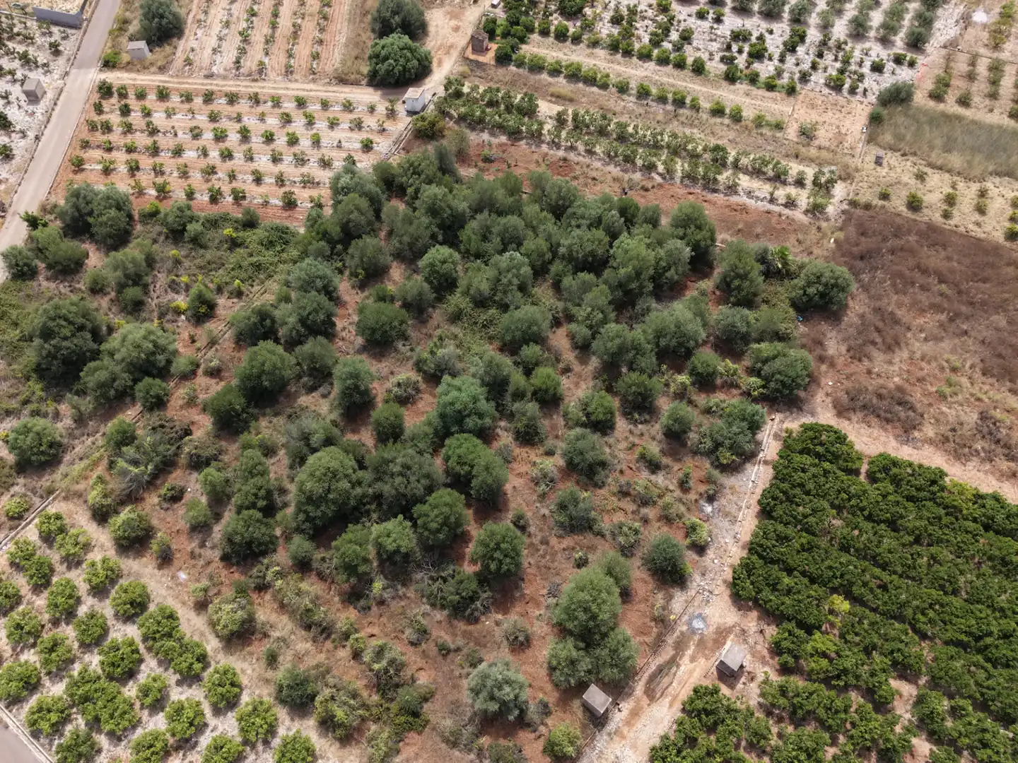 Rural land for sale in Carrer Castell 29, imagen 2