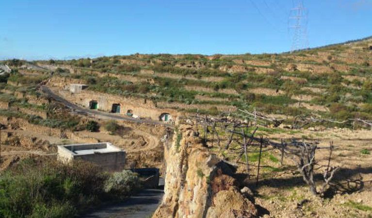 Vista exterior de Terreno en venta en Güímar