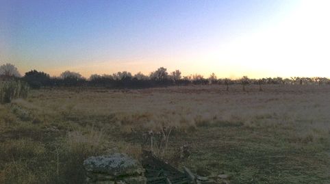 TERRENO RUSTICO EN VENTA CERCA DE VALL DALBA, immagine 4