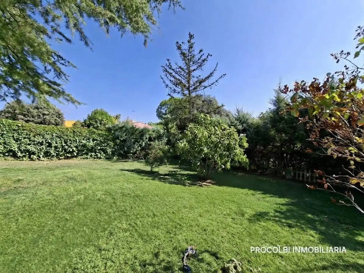 Casa con giardino in vendita a Calle Falla, imagen 5