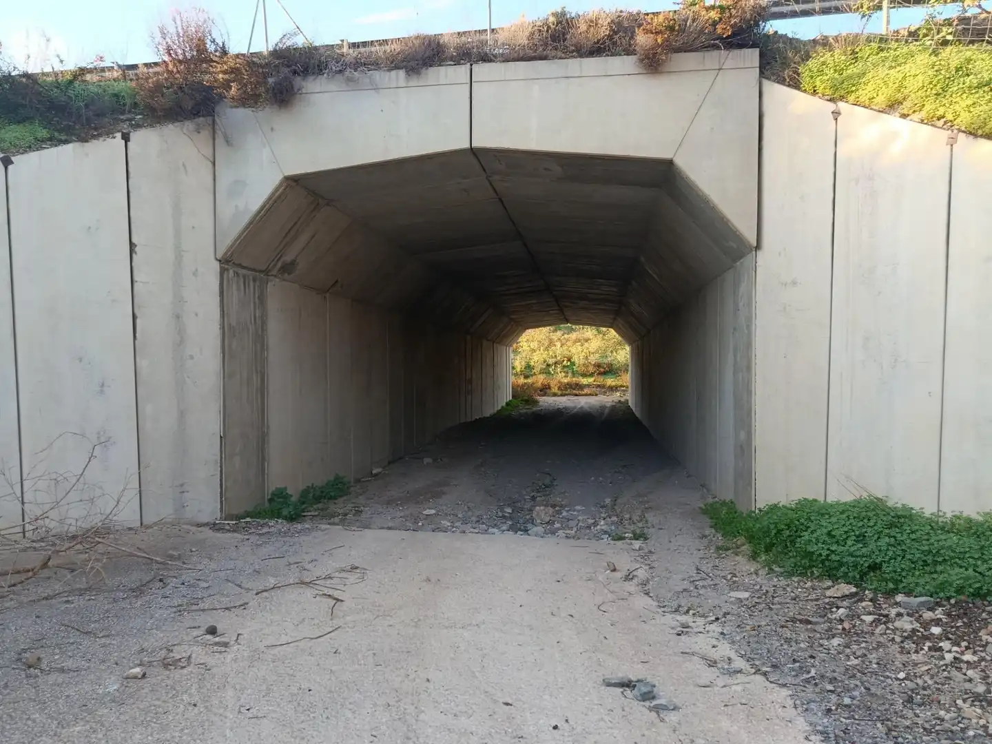 Terreny rústic en venda a Pasaje FUENTE, LA - DS PUERTOS 1, imagen 17