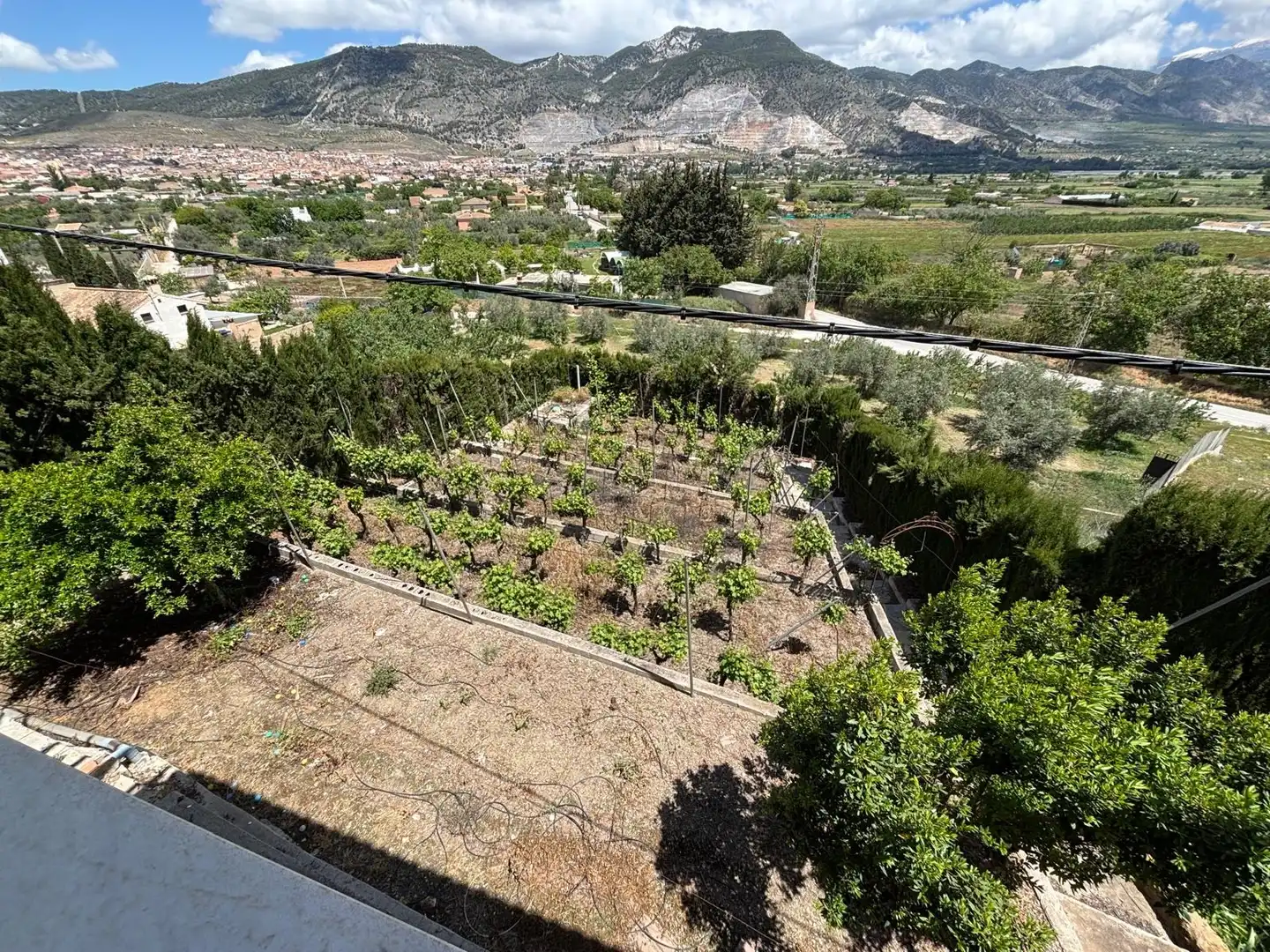 Detached house with pool for sale in Camino CAMINO VIEJO DE MOTRIL, imagen 67
