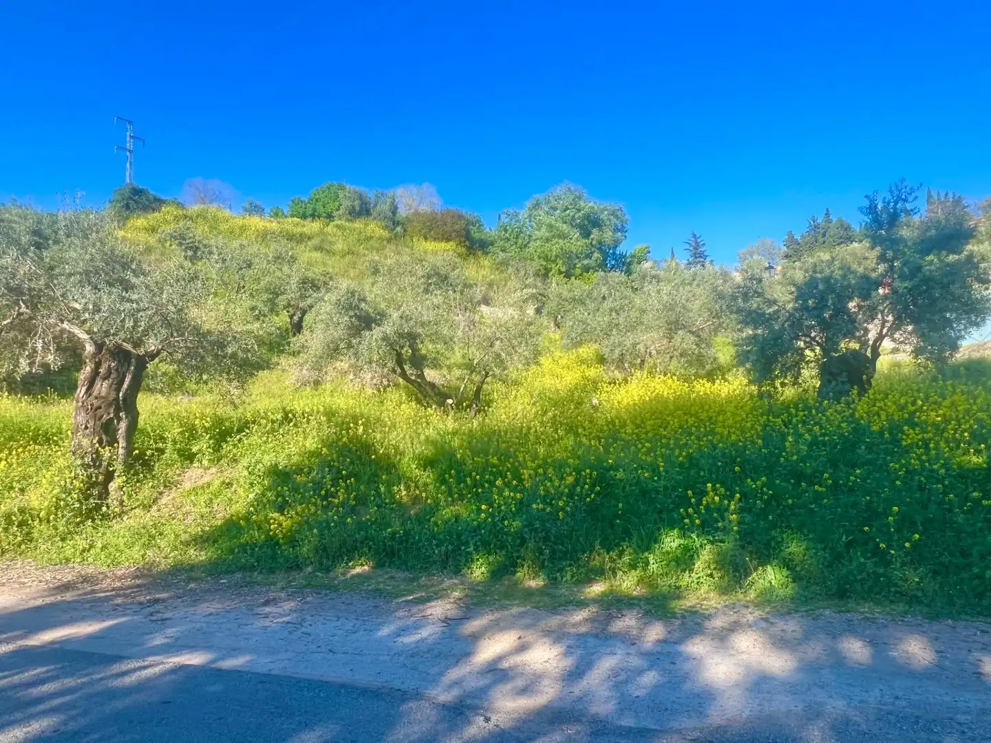 Terreno residencial en venta en Nívar, imagen 7