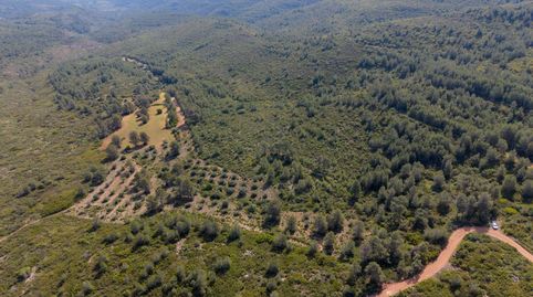 SE VENDEN 3 FINCAS RÚSTICAS EN ENGUERA Valencia  90.000, imagen 2