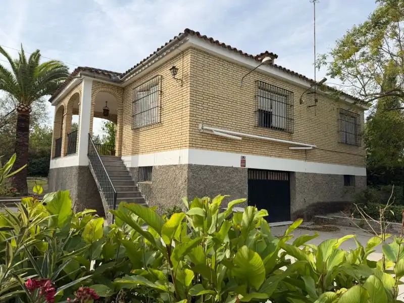 Vista exterior de Finca rústica en venta en Lucena