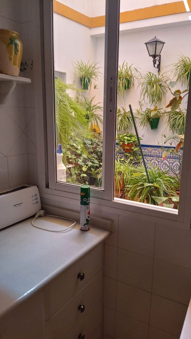 Jardí de Apartament de lloguer en Dos Hermanas amb Aire condicionat i Moblat