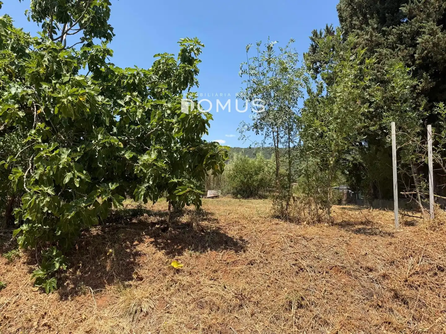 Terreny rústic en venda a Sant Vicenç, imagen 2
