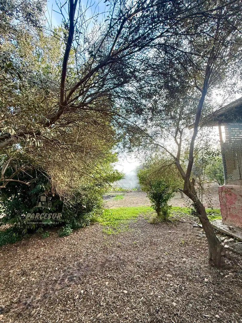 Casa con piscina en venta en Periurbano Este - Campiña, imagen 15
