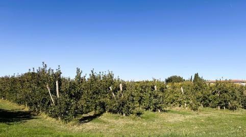 Foto 4 de Casa o xalet en venda a Nou, Bellpuig, Lleida