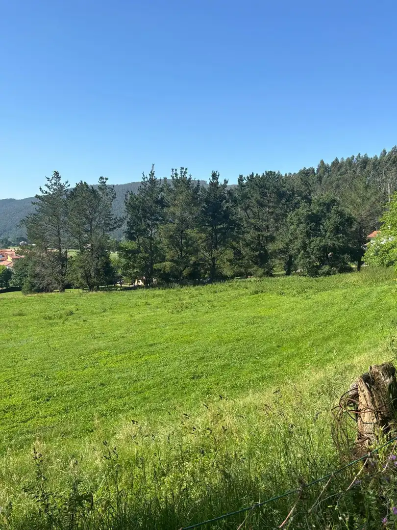 Terrain rustique à vendre à Polígono 504 PARCELA 34  MIRAMATA, imagen 2