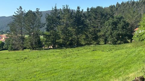 Terreno rustico con posibilidad de construir, immagine 2