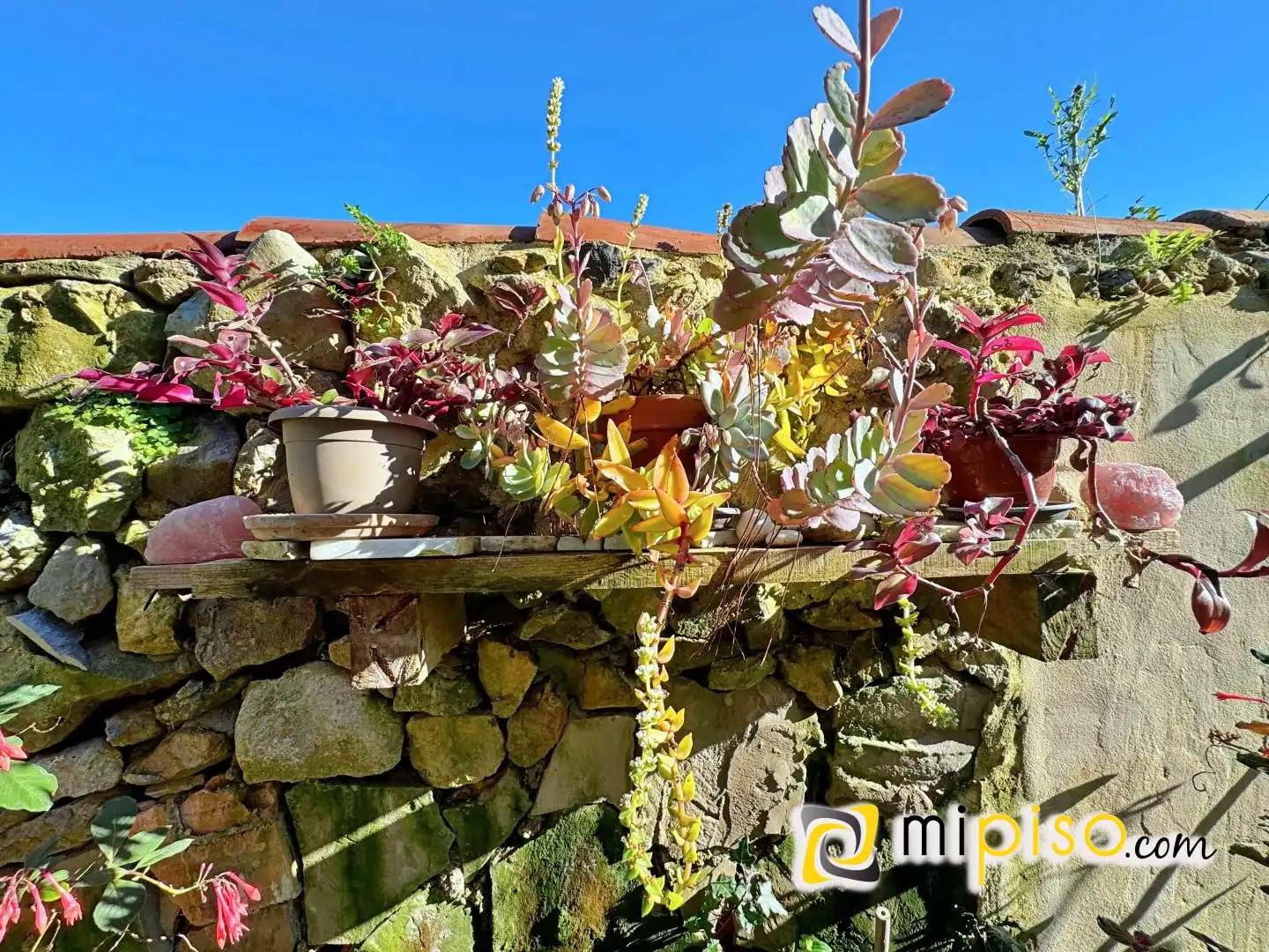 Jardí de Casa o xalet en venda en Arnuero
