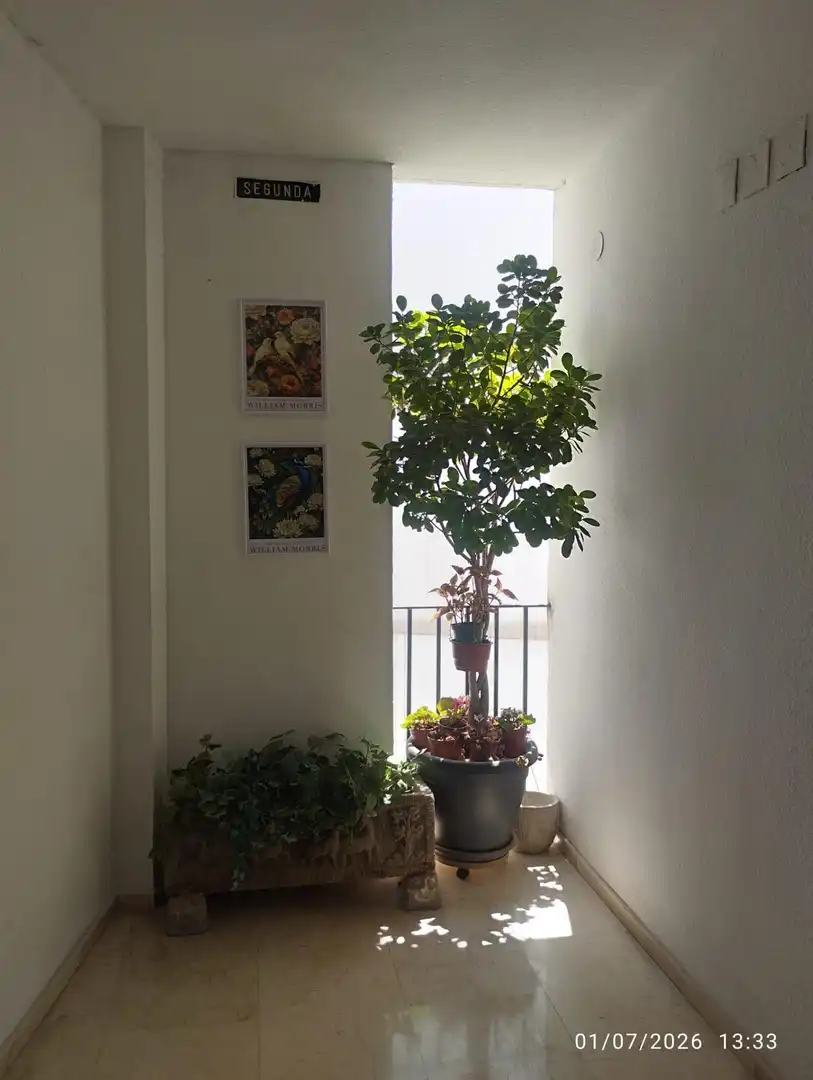 Terrassa de Pis en venda en Córdoba amb Aire condicionat, Traster i Moblat