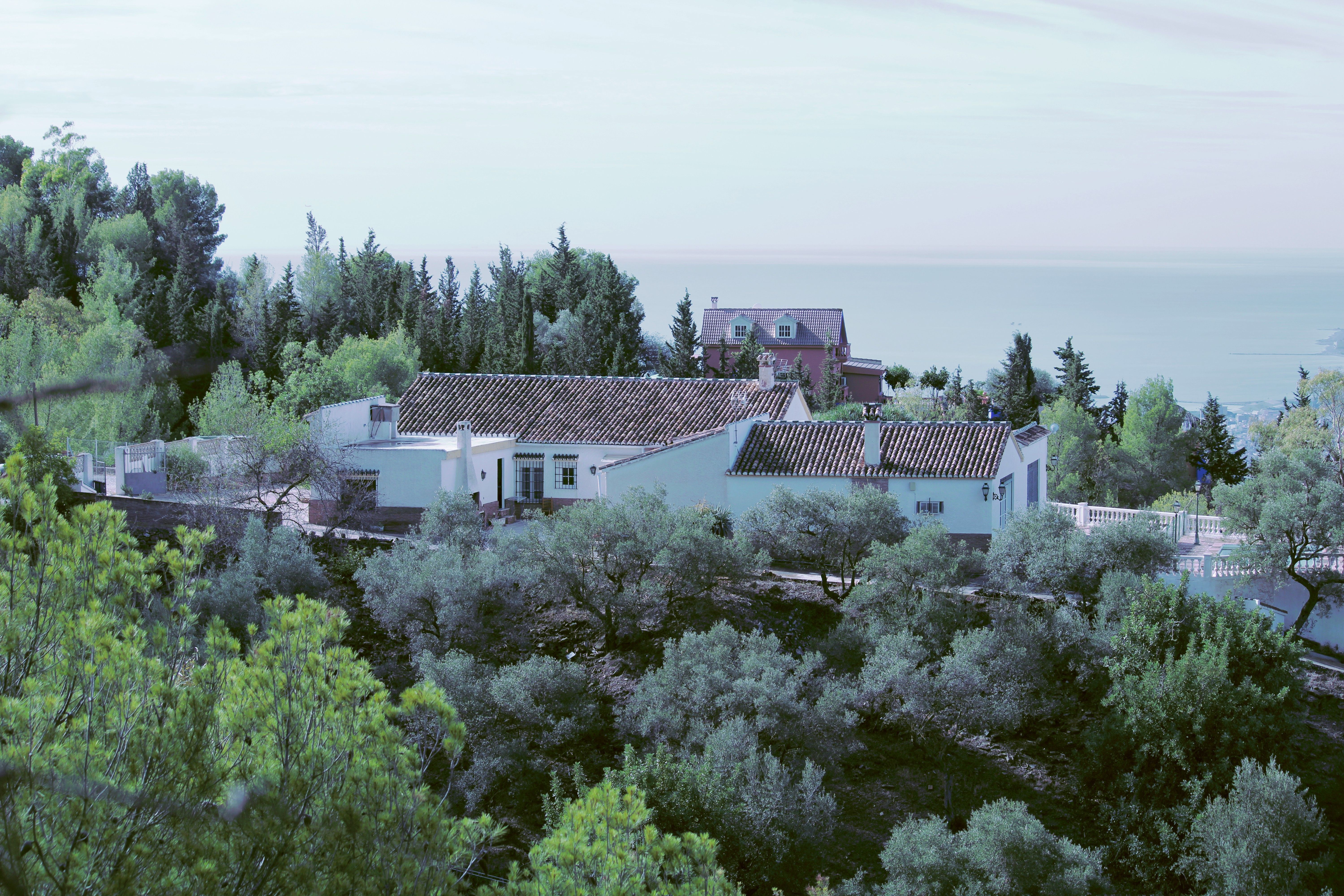 Garden of House or chalet for sale in Málaga Capital  with Air Conditioner, Private garden and Terrace
